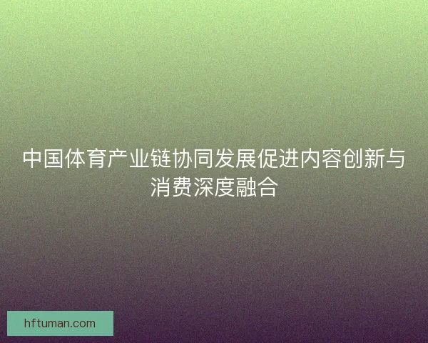 中国体育产业链协同发展促进内容创新与消费深度融合