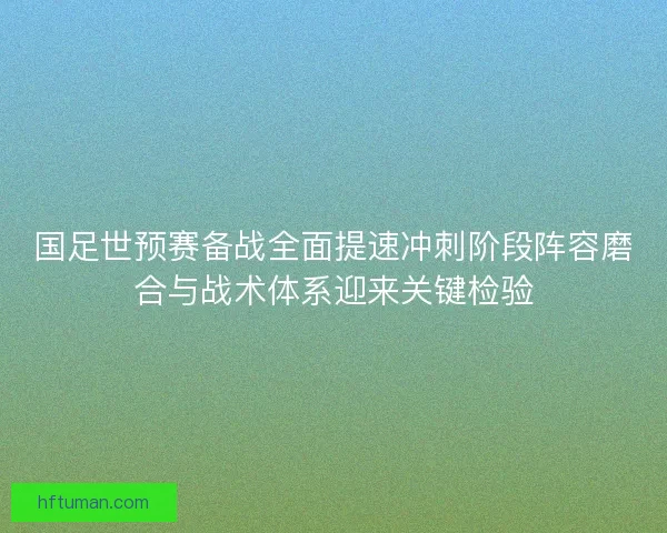 国足世预赛备战全面提速冲刺阶段阵容磨合与战术体系迎来关键检验