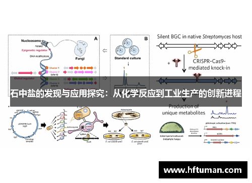 石中盐的发现与应用探究：从化学反应到工业生产的创新进程